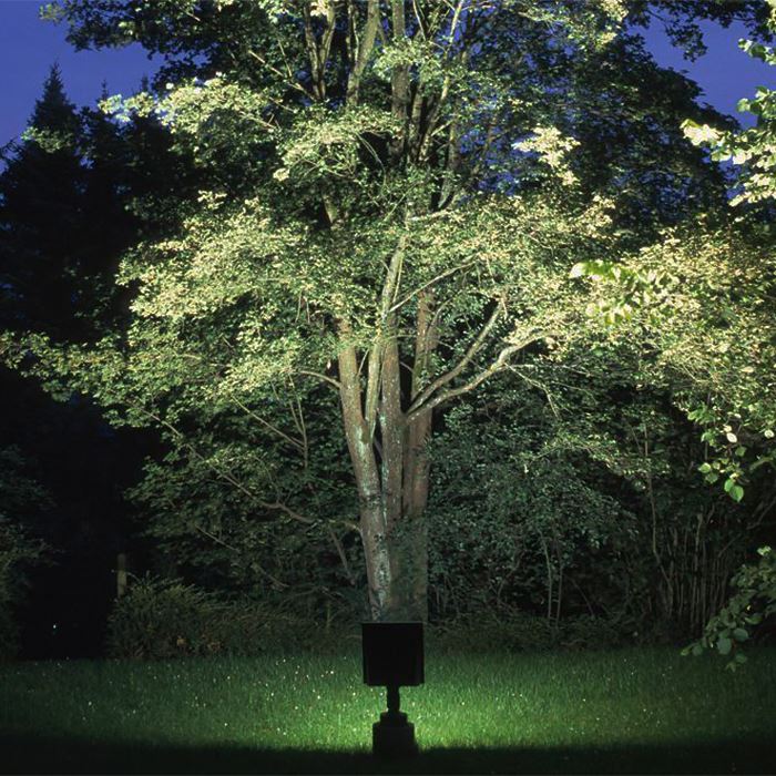 Tree light made in china Tree light made in china